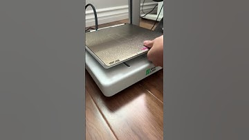 3D Printed Flexible Axolotl ASMR on Bambu Labs A1