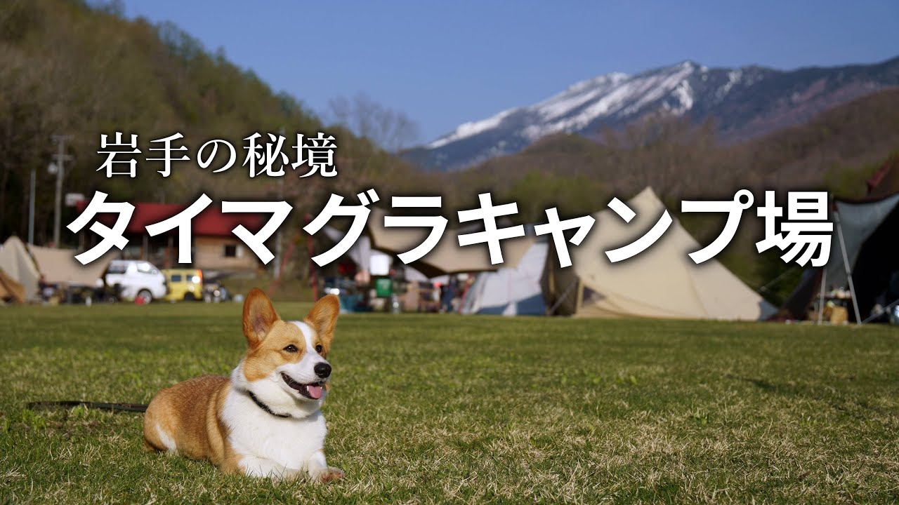 【犬連れキャンプ】岩手の秘境キャンプ場「タイマグラキャンプ場」でコーギーとキャンプしてきました！