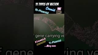 11types of Vectors with their insert size- Rapid revision notes for NEET-UG/PG