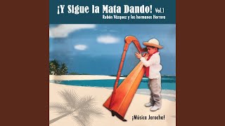 Video thumbnail of "Rubén Vázquez - La Morena (Son Jarocho)"