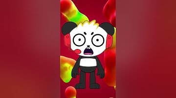 3 Ways Pandas and Red Pandas are Alike!!