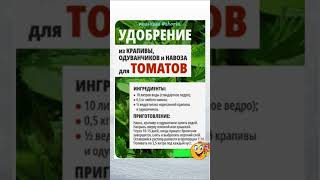 ПОЛЕЗНО ЗНАТЬ! Народные удобрения для томатов #shorts #советы  #рецепты