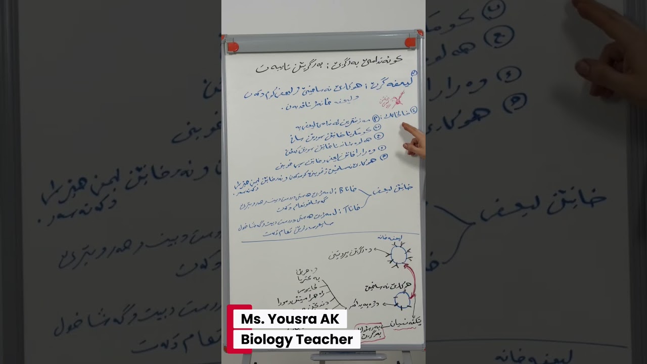 بەرسڤدانا بەرگریا خانەیێ - بەرسڤدانا بەرگریا دەردانی بەندێ سیێ - پشکا دوویێ