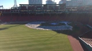 Fenway Park Tour (1/2/16)