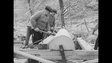 Oak Log: Hand Powered Lathe