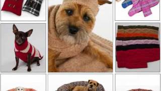 CanineStyles