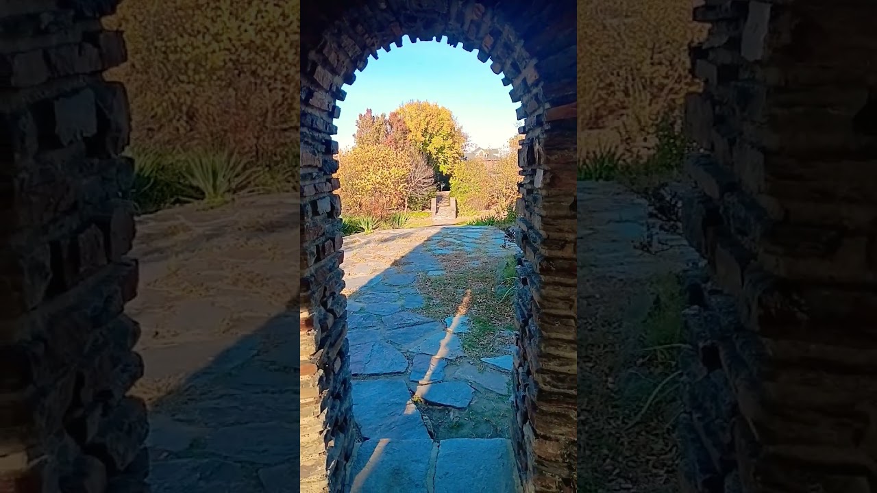 NOT RELICS OR RUINS, MOTHERS GARDEN IN NOVEMBER