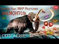 Таким был МИР Якутских МАМОНТОВ.СЕНСАЦИЯ!!! #AISPIK #aispik #айспик