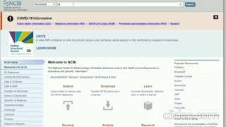 Designing a primer using ApE tool Net Worth