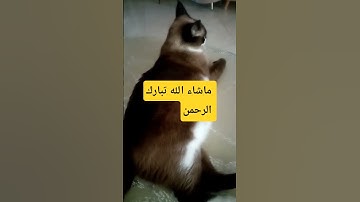 #السعوديه #تيك_توك #ترند #اكسبلور #سورة_البقرة _