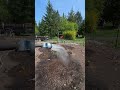 Soil Rejects Water (What To Do)