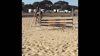 Cmpc Ht 2018 Dustyeventing