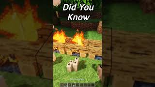 Did You Know Minecraft