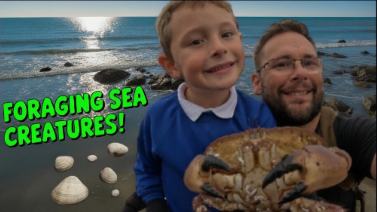 Coastal Foraging — Crabs, Clams & Sea Creatures! 🌊