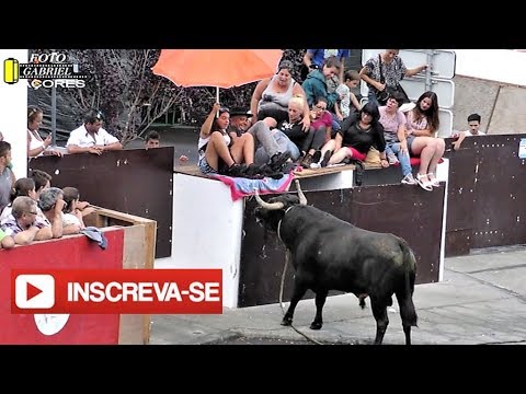 Tourada à corda na Agualva, 2016