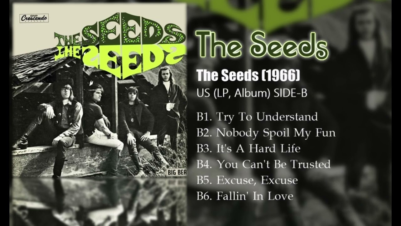 The Seeds - The Seeds (1966) SIDE-B - YouTube