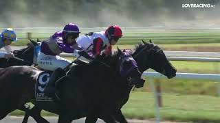 Blackbookers - Complicate