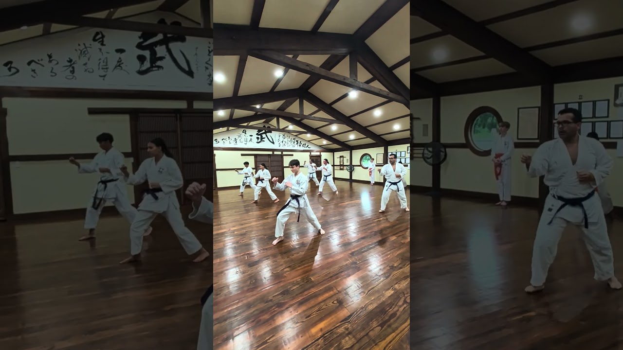 karate ido kihon waza practice. #floridabudokan #martialarts #karate
