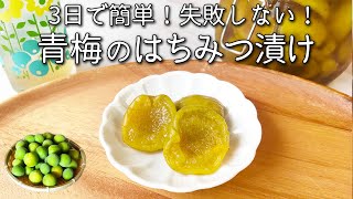 【梅 レシピ】保存袋で３日でできる！ 青梅の簡単おやつ　カリカリ はちみつ梅 の作り方 疲れが取れる 簡単！梅レシピ