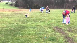 Time-Lapse Easter Egg Hunt 2016