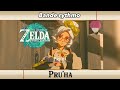 Bande rythmo the legend of zelda  tears of the kingdom  pruha