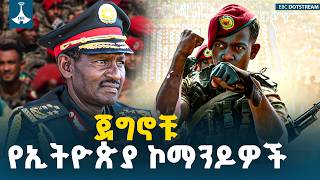 የምድር ድሮን የሆኑት የኢትዮጵያ ኮማንዶዎች አስደማሚ ወታደራዊ ብቃት | The Unstoppable Ethiopian Commandos | Red Beret Glory