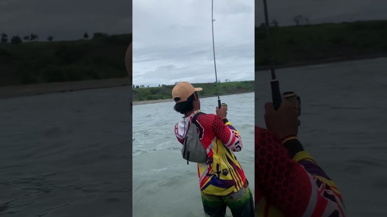 Tarikan ikan di pantai selatan lunyuk, ntb