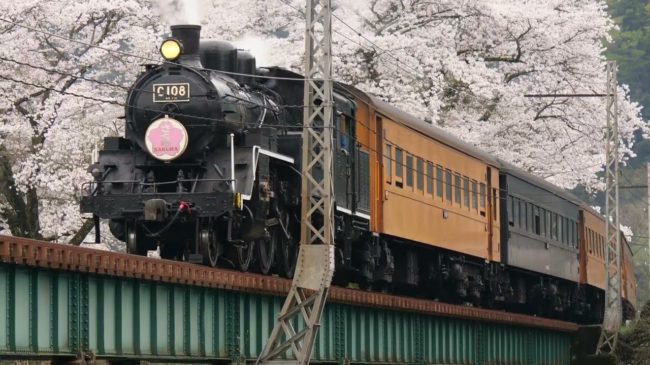 【ありがとう！黒いSL】大井川鐵道 C10-8 走行シーン集！[Oigawa Railway] Japanese Steam locomotive class C10-8