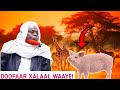 DOOFAAR HILIBKIISA XALAAL WAAYE WAA LACUNI KARAA DOOFAAR HILIBKIISA XALAAL WAAYE WAA LACUNI KARAA