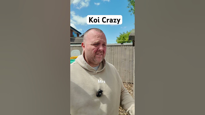 This is what they mean by koi crazy #koi #koifish #koipond