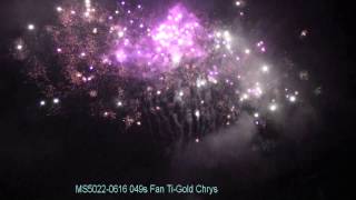 MS5022 0616