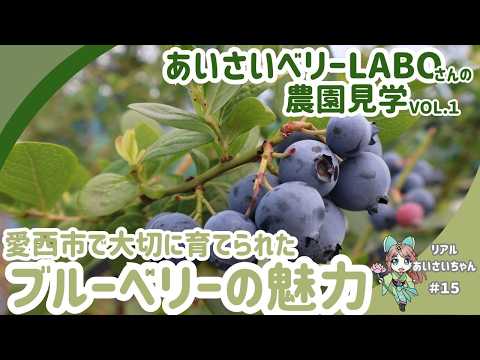 あいさいベリーLABOの紹介動画サムネイル