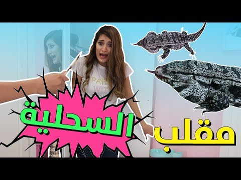 مقلب السحلية مع مستر شنب LIZARD PRANK WITH MRMRSNB2 