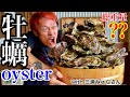 【大食い】牡蠣を色々食べてみた‼️with 三浦みゅらさん【マックス鈴木】【oyster】