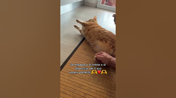 Sei davvero sicuro che i tuoi gatti si fidino di te?