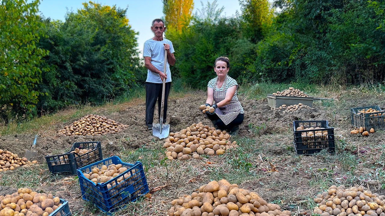 Traditional Albanian Moussaka with Potatoes – So Tasty! 🥔☀️🇦🇱