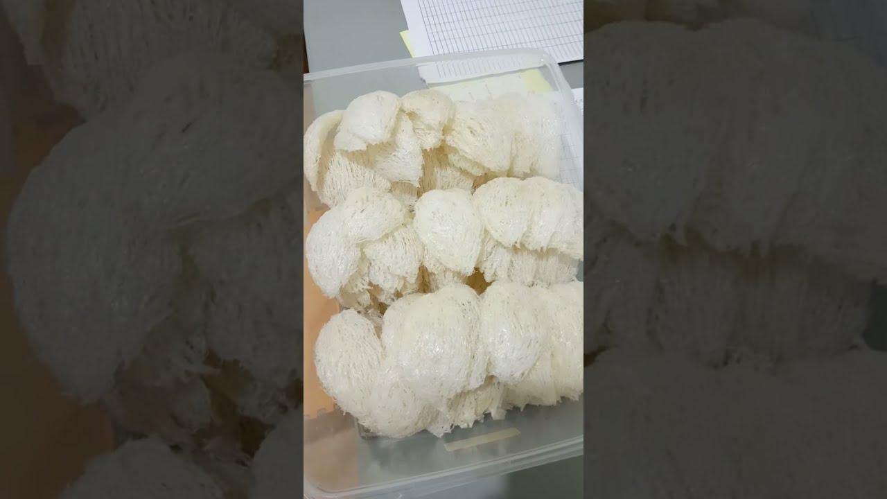 Cetak jari2an..sama cetak indomee