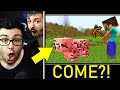 MARCY REAGISCE ai 99 MOMENTI IN CUI MINECRAFT E' STATO MALEDETTO!!