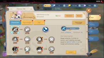 Guardian Of Cloudia Mage\PyroMage Guide