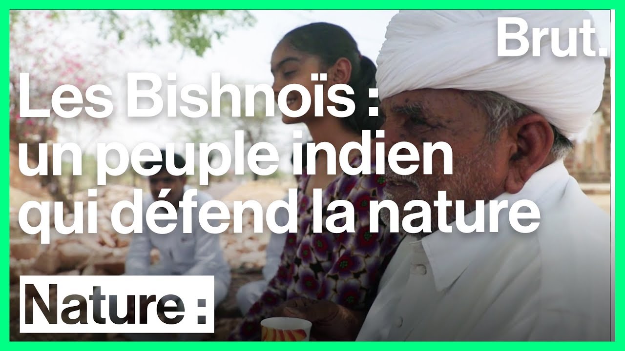 Rajasthan : les Bishnoïs protègent la nature depuis plusieurs siècles