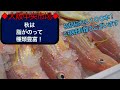 【中央市場】秋のお魚は脂がのって種類も豊富！　安くて美味しい旬の魚をご提供