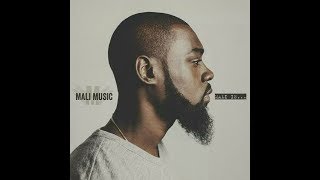 Video-Miniaturansicht von „Mali Music - Beautiful Lyrics (Lyric Video)“