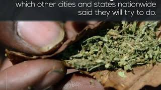 LA to Tap Tech to Wipe Out Up to 50,000 Old Pot Convictions