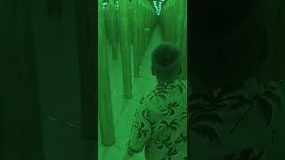 Boy Bumps Into Mirror Wall in Illusion Maze