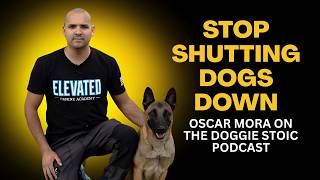 "Balanced Trainers Are Shutting Dogs Down" – Oscar Mora Speaks Out