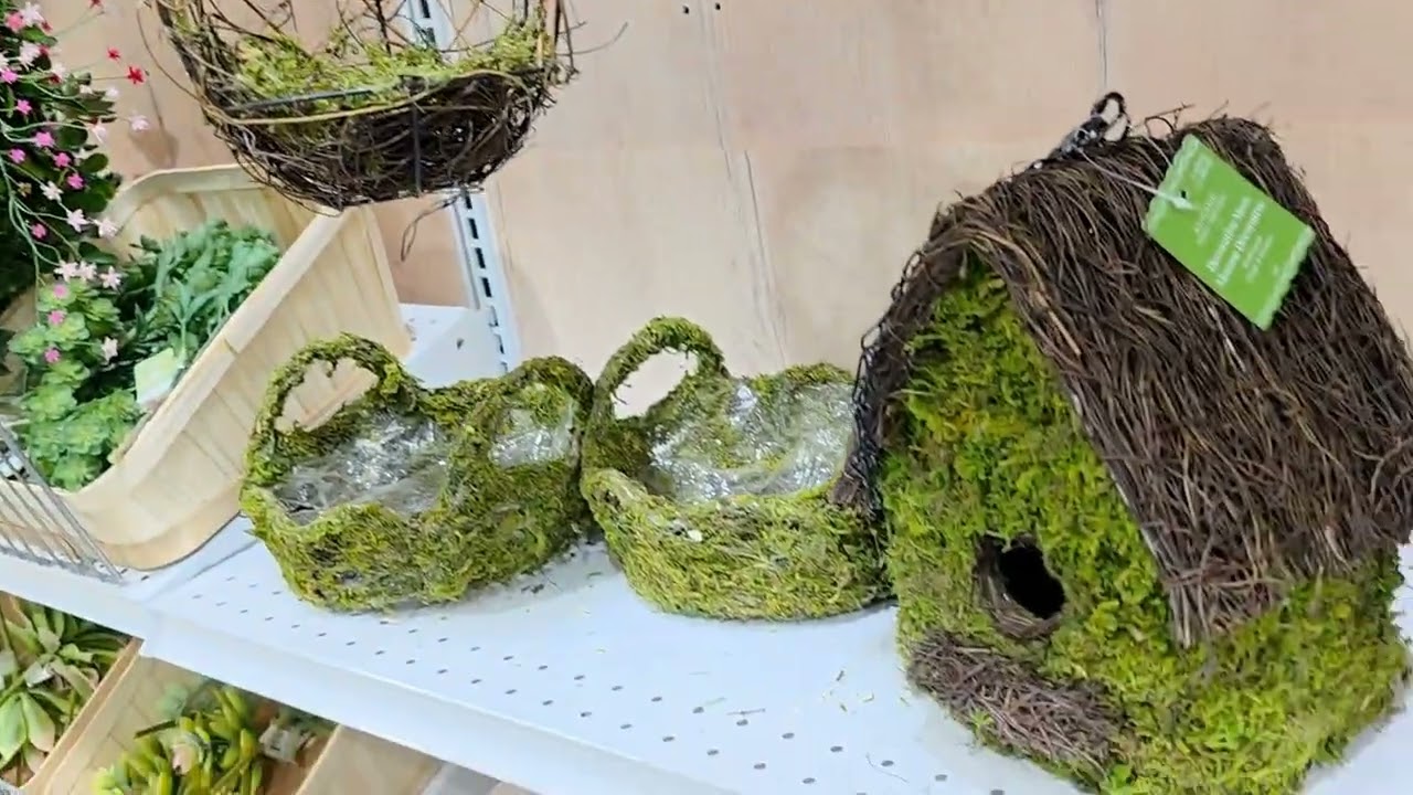 Explore Michaels mini garden supplies! @lisaTthatsme 