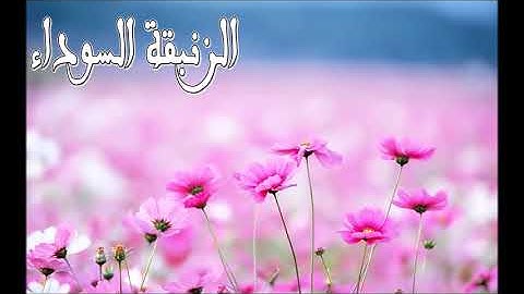 سورة الصف كاملة بصوت الشيخ رعد محمد الکـردي