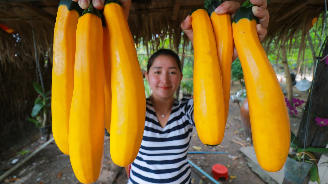 Yellow Gourd Cooking Recipe Cooking With Sros YouTube