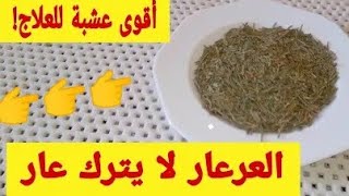 العرعار لفك السحر و النحس التعطيل و العكوسات⁦️⁩مجرب لعلاج وقف الحال