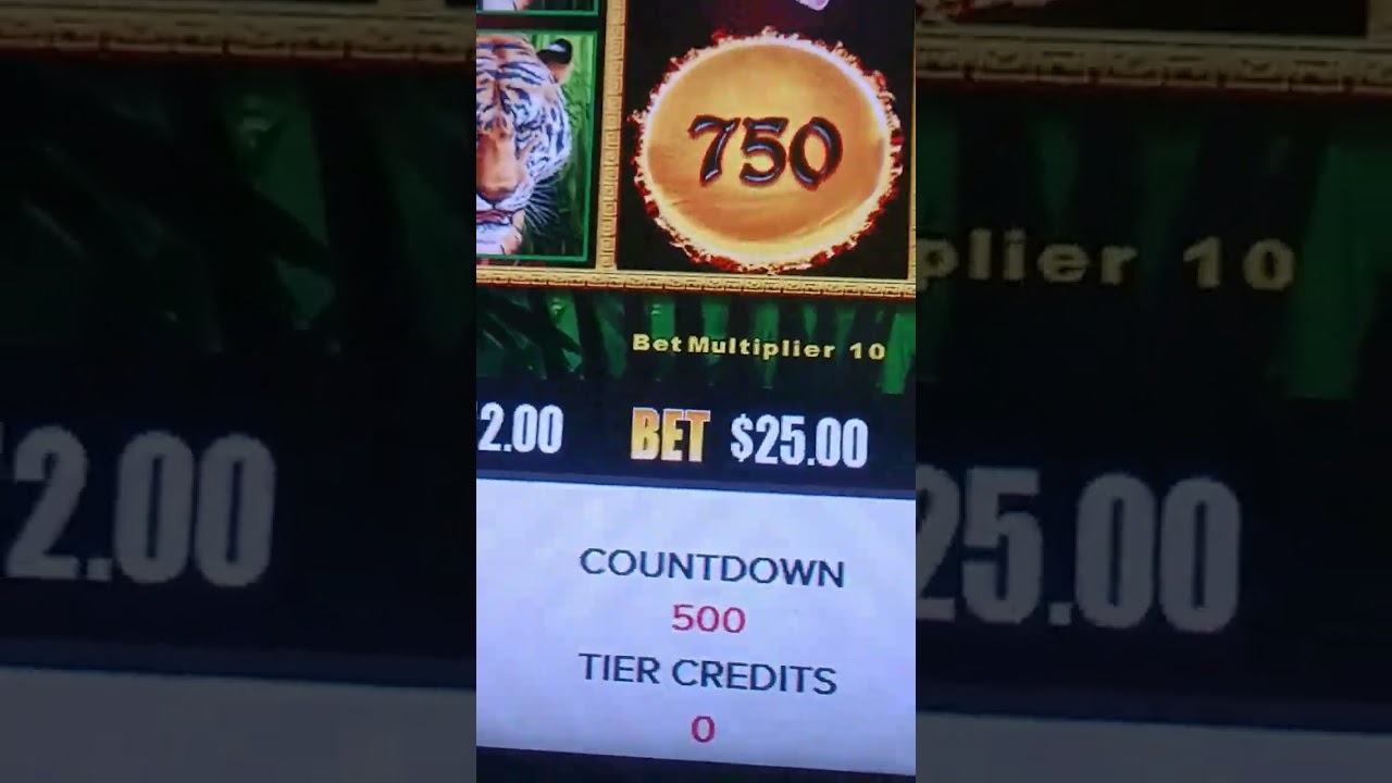 Panda Magic *High Limit Jackpot* Nice Comeback $2,165.00 Cash Money